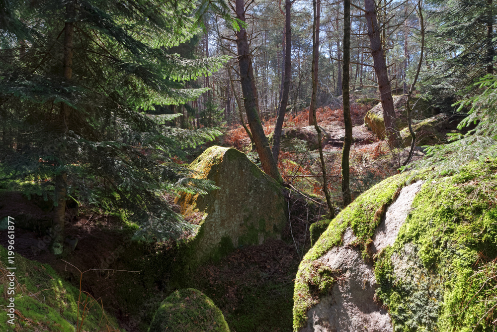 Rocher des Princes rock in Fontainebleau forest Rocher des Princes rock in Fontainebleau forest