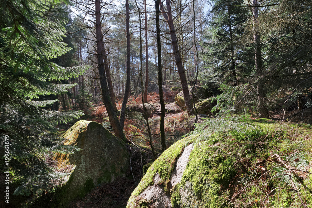 Rocher des Princes rock in Fontainebleau forest Rocher des Princes rock in Fontainebleau forest
