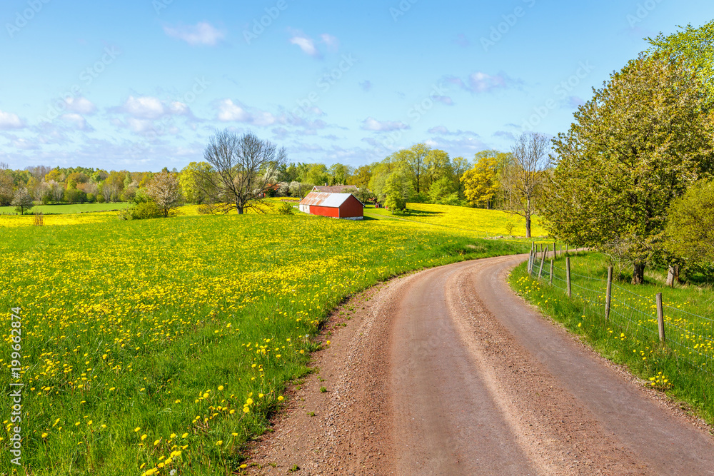 Obraz premium Gravel road through rural landscape in spring