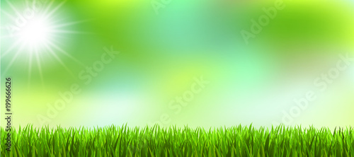 Gras Hinterland Sommer Frühling