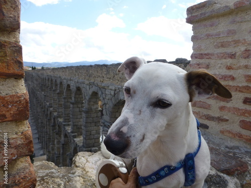 Segovia, ciudad y un municipio español en la parte meridional de la comunidad autónoma de Castilla y León (España)