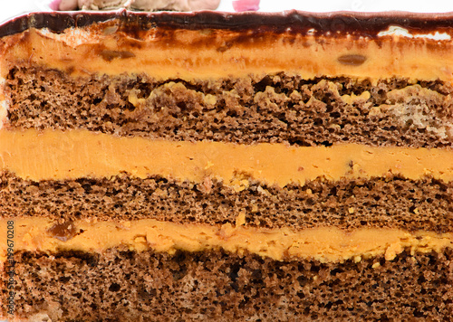 Texture layer of chocolate cake with cream. Close-up, for background