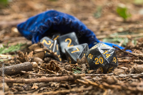 Polyhedral dice in a woodland environment photo