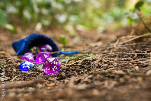 Polyhedral dice in a woodland environment photo