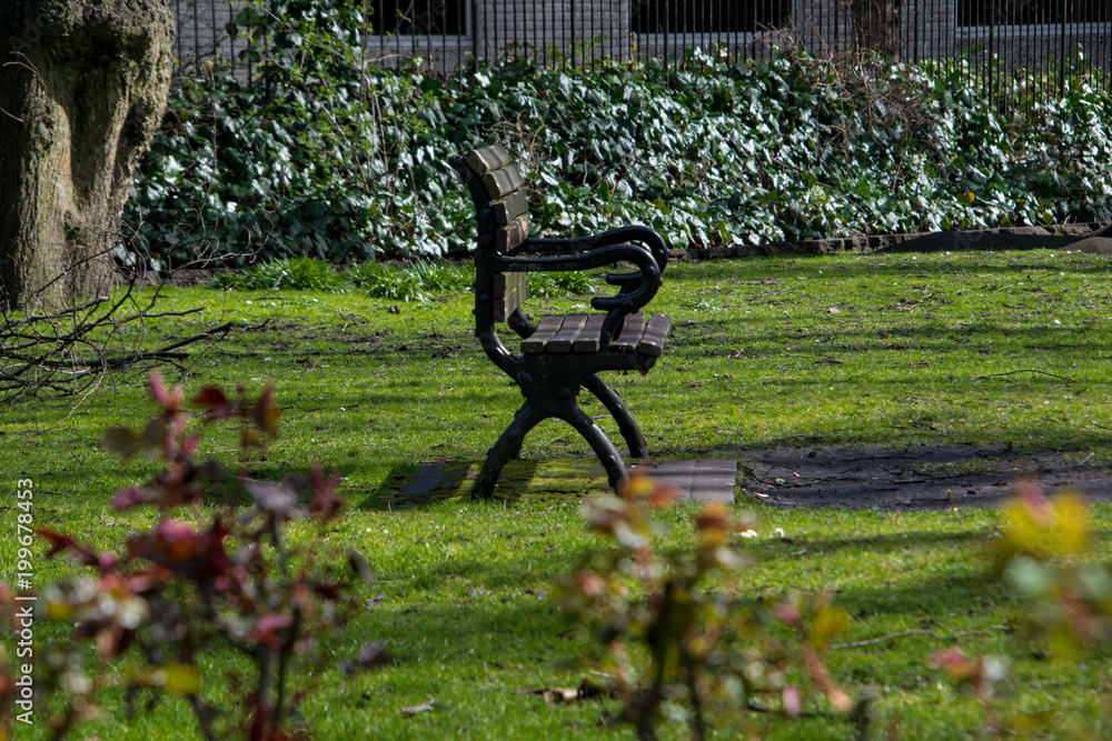 Single isolated bench in the park Single isolated bench in the park