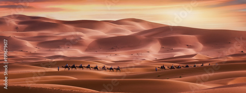Caravana del desierto photo