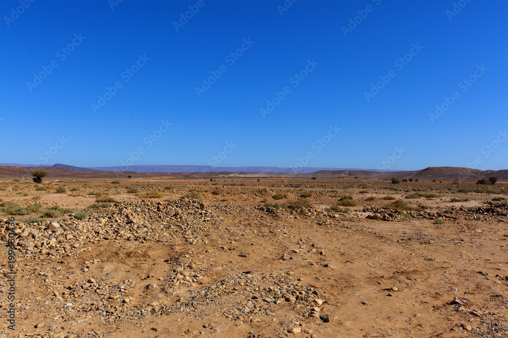 Rocky desert, scenic desert landscape in Morocco, assa-zag, moroccan rocky desert landscape with plants and mountain range