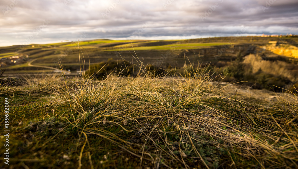 Fototapeta premium Fields of Segovia