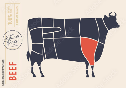 Meat cuts. Diagrams for butcher shop. Scheme of beef. Animal silhouette beef. Vector illustration.