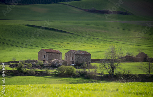 Casas de piedra en un valle de cereal photo