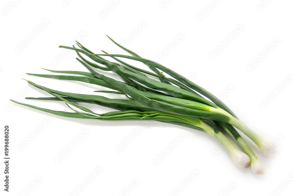 Fototapeta premium 葉たまねぎ