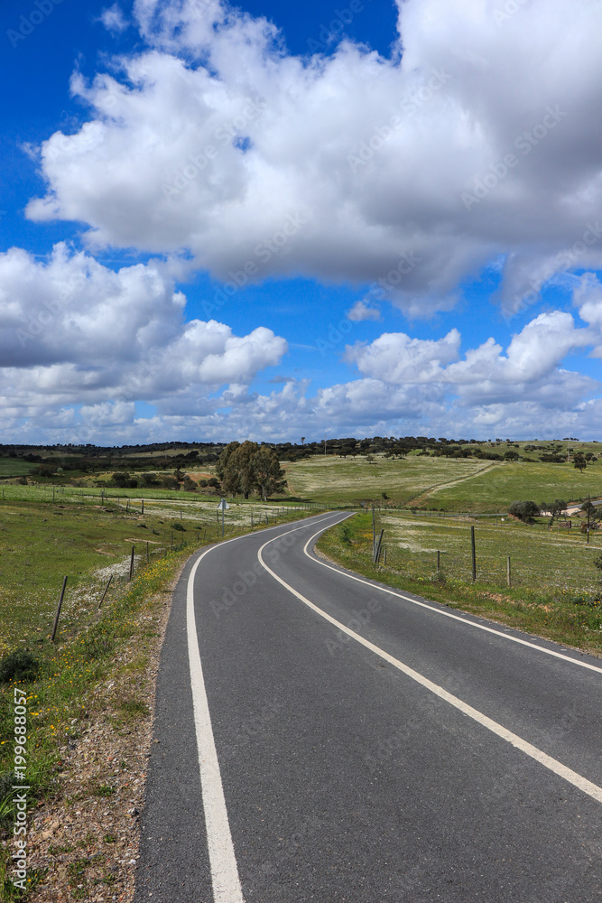 Road with green grass field under white clouds and blue sky. Country side landscape in Portugal