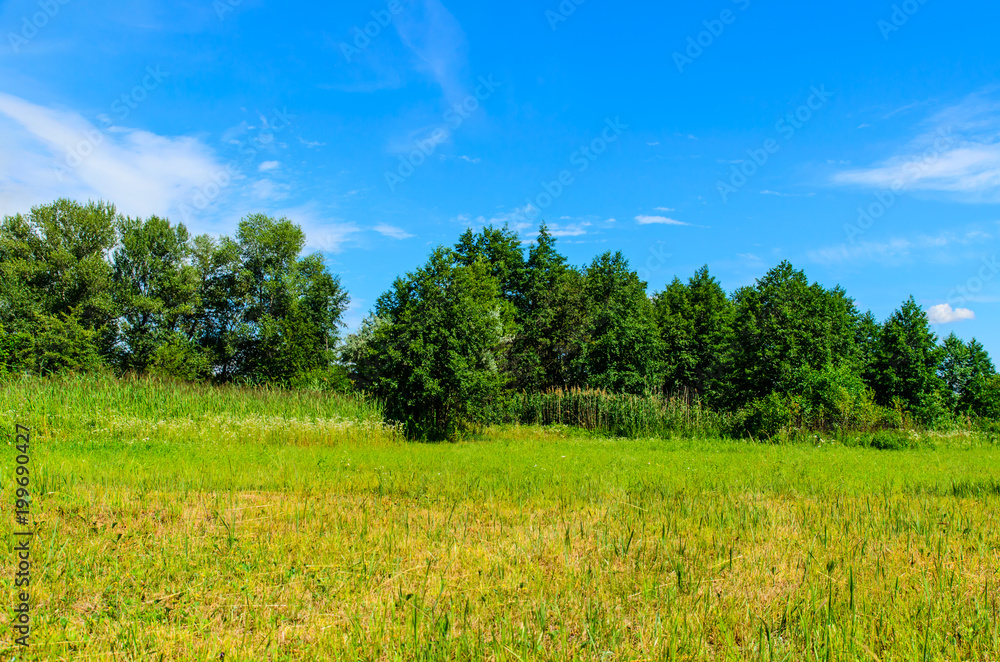 Obraz premium Wide green meadow