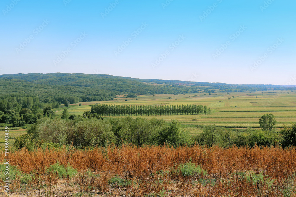 Summer countryside landscape
