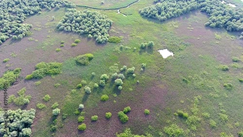 Aerial shot of a tiny square lake in the Dnipro basin covered with greenery photo