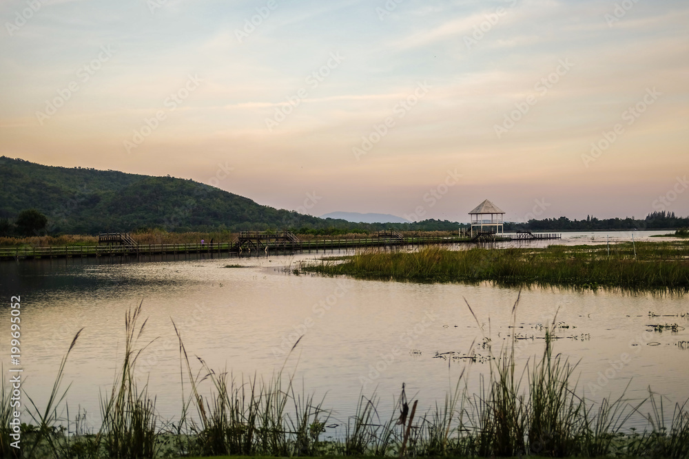 Evening lake view