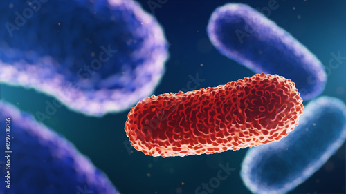 3d illustration of bacteria. Medical background photo