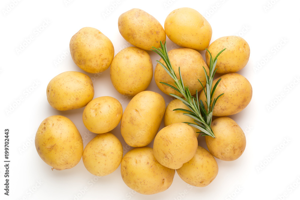 New potato and rosemarin isolated on white background close up. New potato and rosemarin isolated on white background close up.