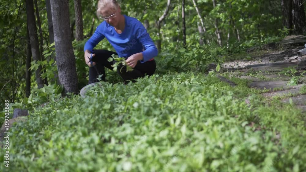 Mature, beautiful woman picking fresh, home grown arugula in a garden. The ultimate farm to table. Shot with steadicam. Mature, beautiful woman picking fresh, home grown arugula in a garden. The ultimate farm to table. Shot with steadicam.