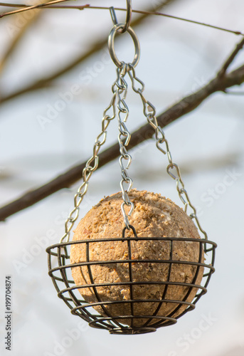 Bird feeder with a fat ball