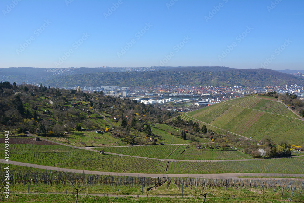 Weinberge im Neckartal