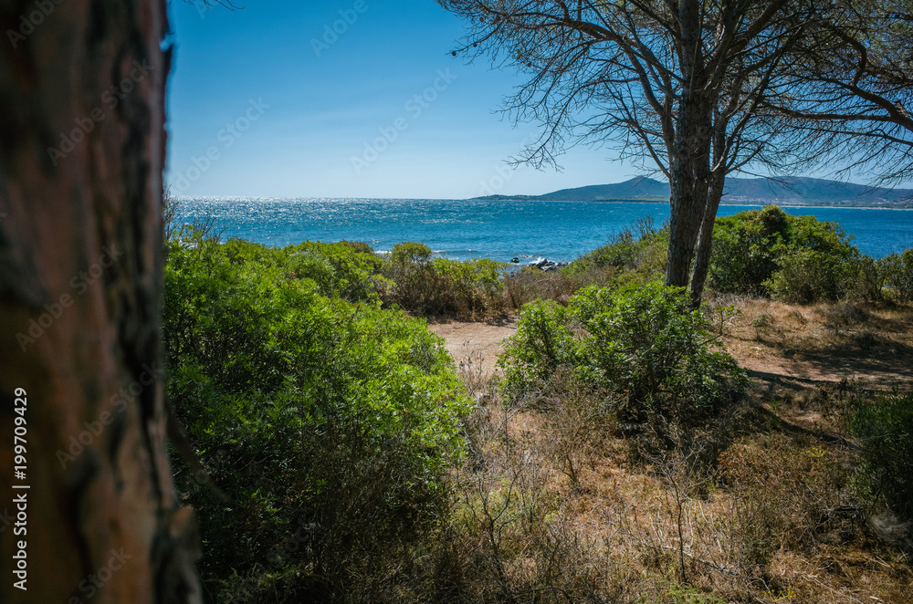 Bosquets Sardaigne Budoni