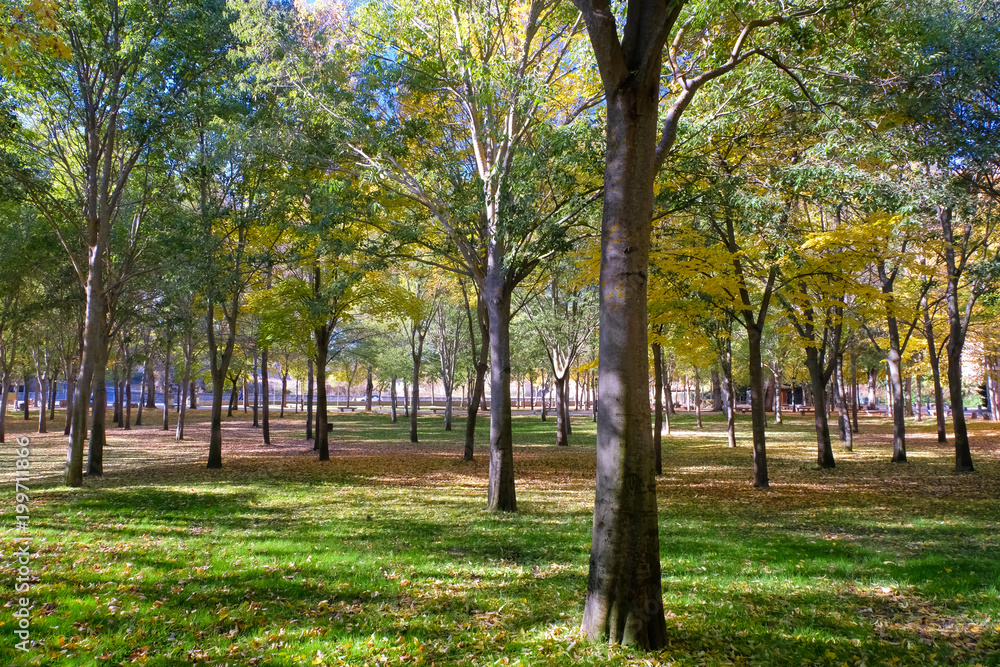 セゴビア 公園 Alameda de la Fuencisla