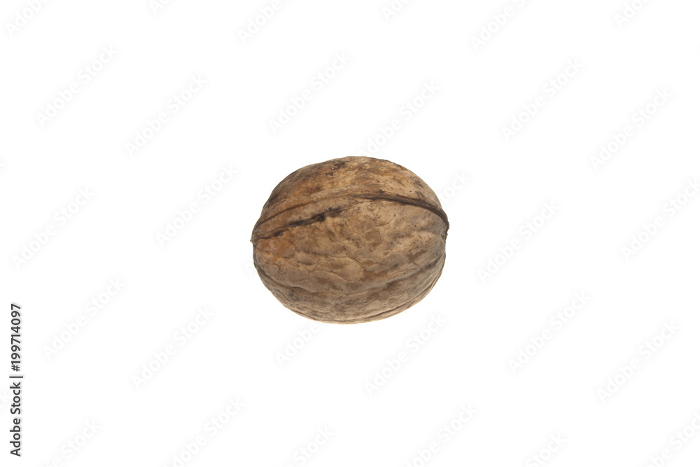 walnut isolated on white background walnut isolated on white background