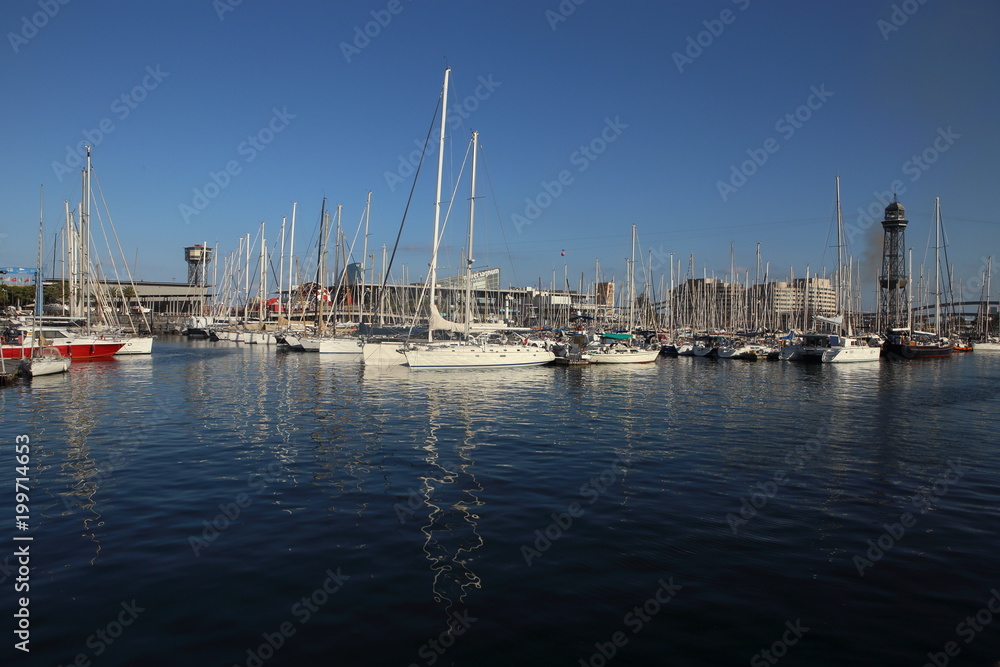 Sailboat harbor, many beautiful moored sail yachts in the sea port,