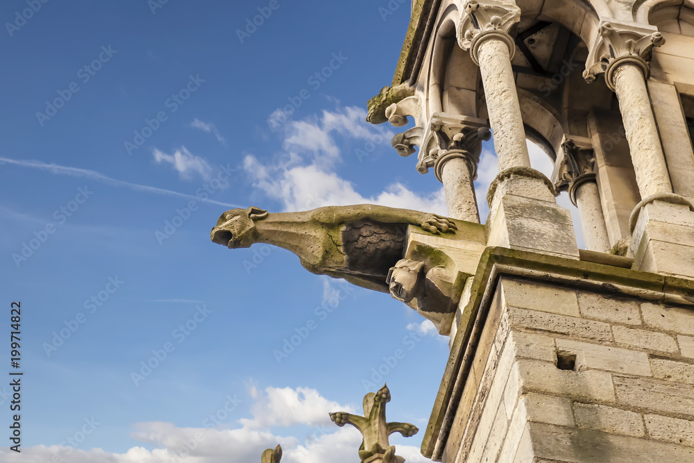 Gargoyle in Notre Dame Cathedral facade - Paris