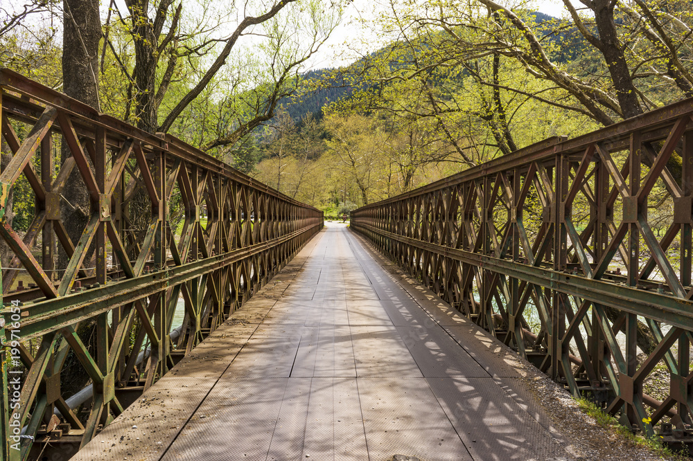 A metallic bridge across a mountain river.