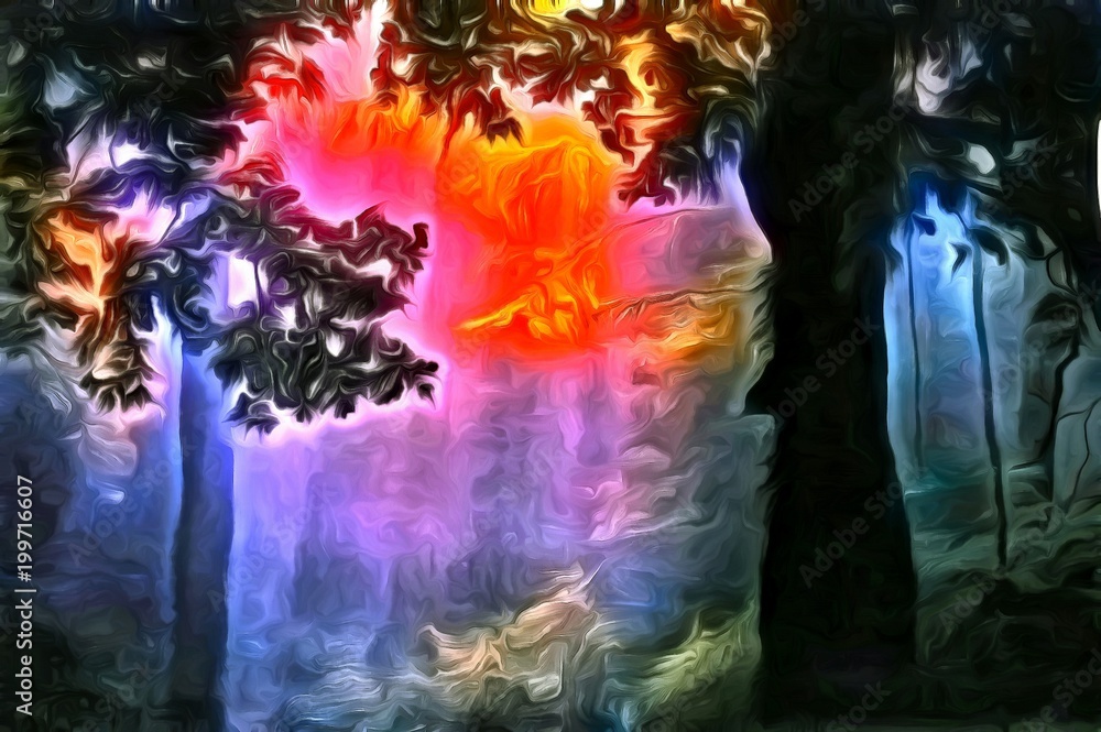 Forest dawn Forest dawn