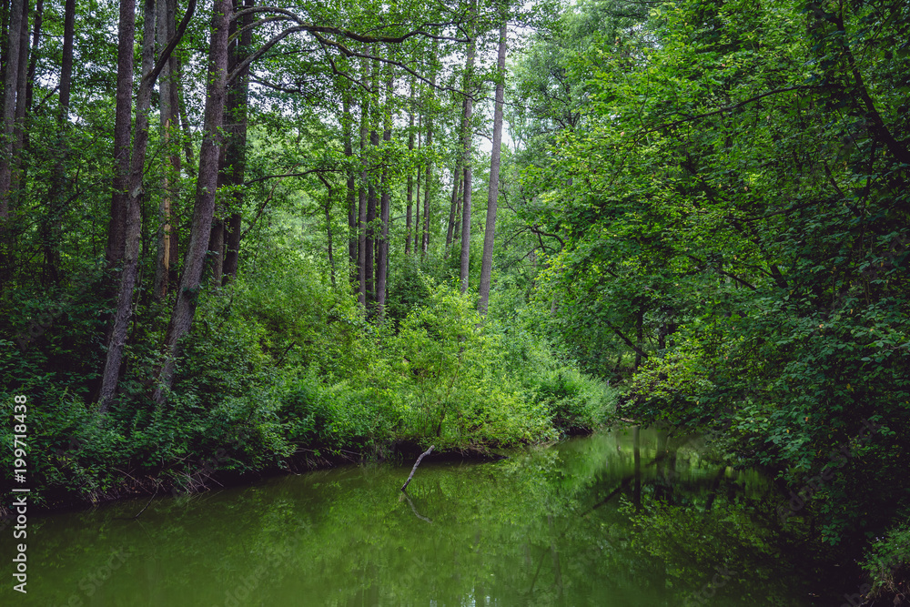 green green