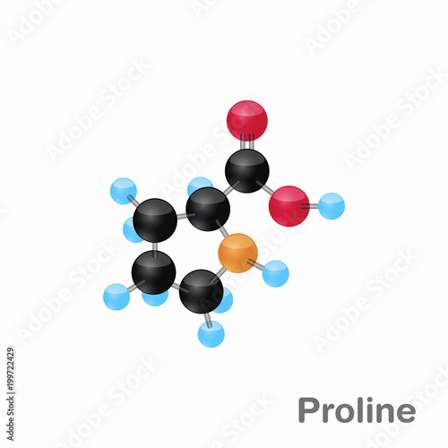 Molecular omposition and structure of Proline, Pro, best for books and education photo