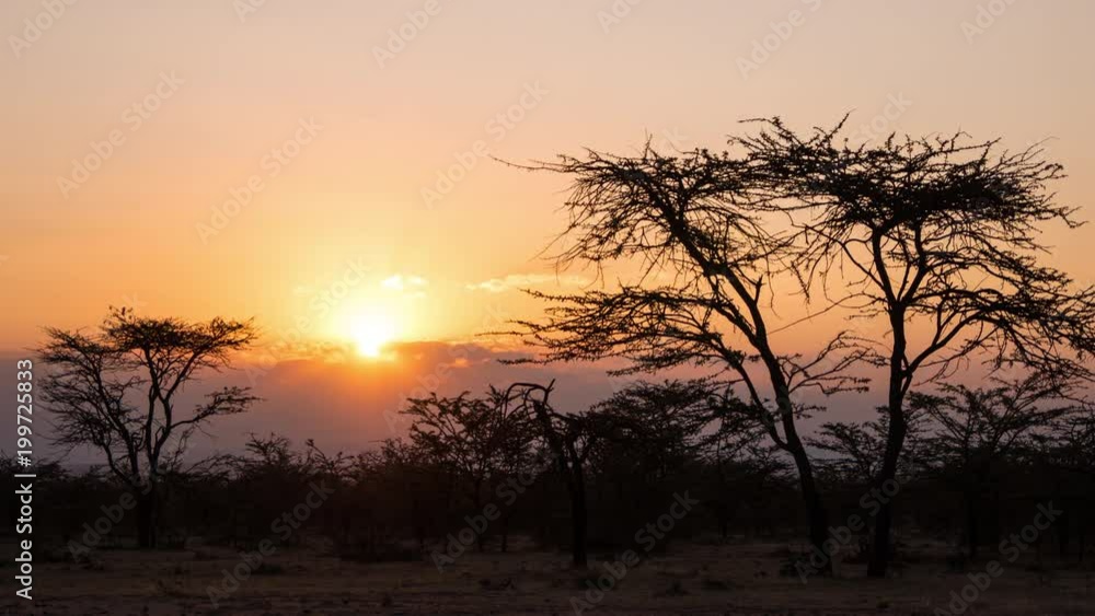 Timelapse of sunset and trees in Maasai Mara Timelapse of sunset and trees in Maasai Mara
