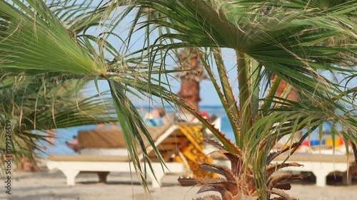 People rest on a sunny beach in Egypt under the leaves of palm trees swinging by the wind
