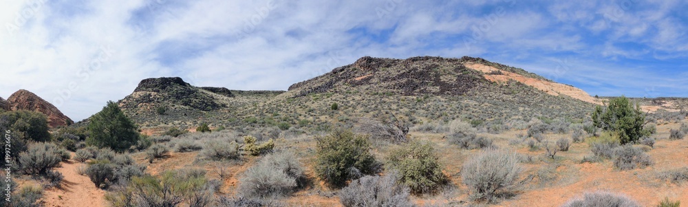 Views of sandstone and lava rock mountains and desert plants around the Red Cliffs National Conservation Area on the Yellow Knolls hiking trail located in southwest Utah, north of St. George at the no Views of sandstone and lava rock mountains and desert plants around the Red Cliffs National Conservation Area on the Yellow Knolls hiking trail located in southwest Utah, north of St. George at the no