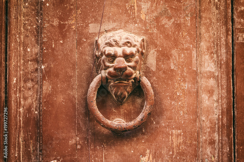 Old rusty knocker lion head on a weathered house front door