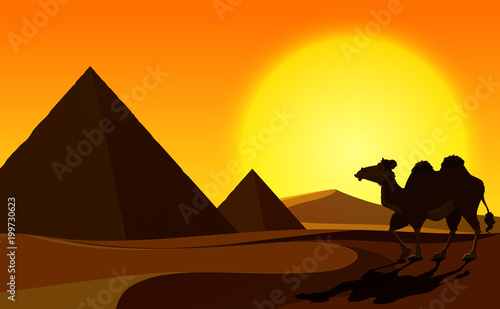Pyramid and Camel with Desert Scene