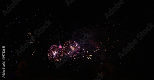 Celebration firework in the black night sky