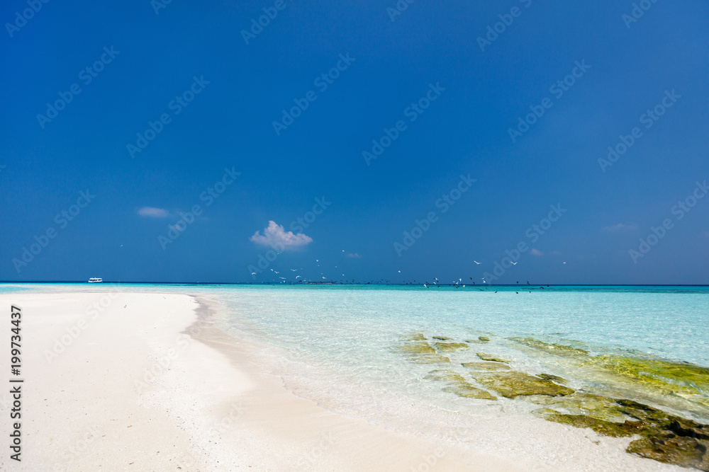 Obraz premium Beautiful tropical beach at Maldives