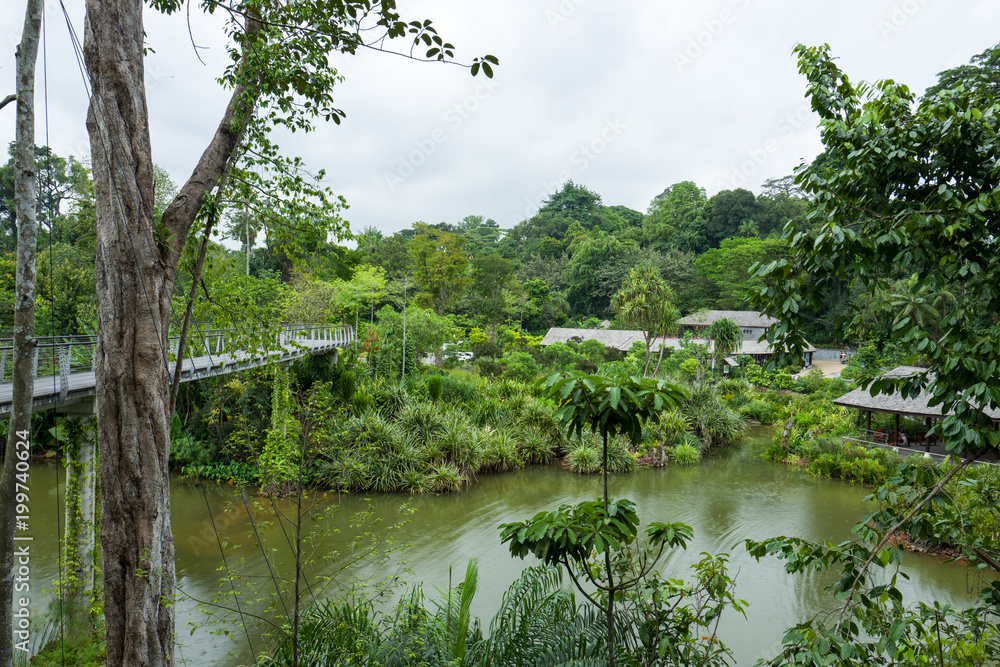 The Botanic Garden in Singapore The Botanic Garden in Singapore