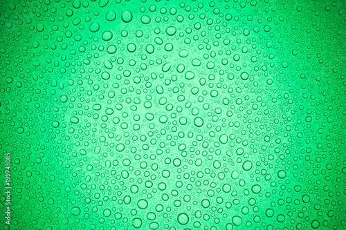 Rain droplets on green glass background  Water drops on glass.