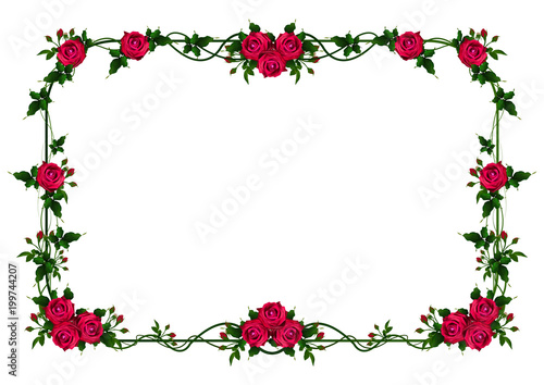 beautiful flower frame vector.Greeting card with flowers, watercolor, can be used as invitation card for wedding, birthday and other holiday and summer background. 