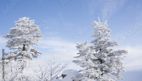 눈 덮힌 겨울산의 풍경