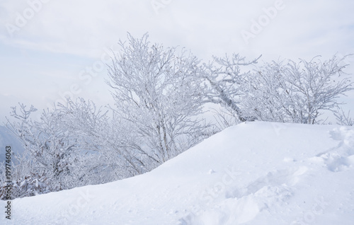 눈 덮힌 겨울 산의 풍경 © sephoto
