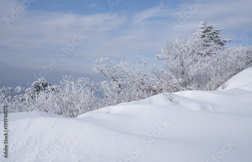 눈 덮힌 겨울산의 풍경 © sephoto
