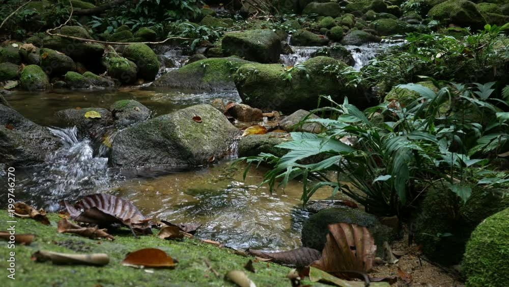 Stones and rocks covered by moss along water stream Stones and rocks covered by moss along water stream