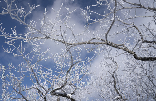 Wallpaper Mural 덕유산의 겨울 풍경 Torontodigital.ca