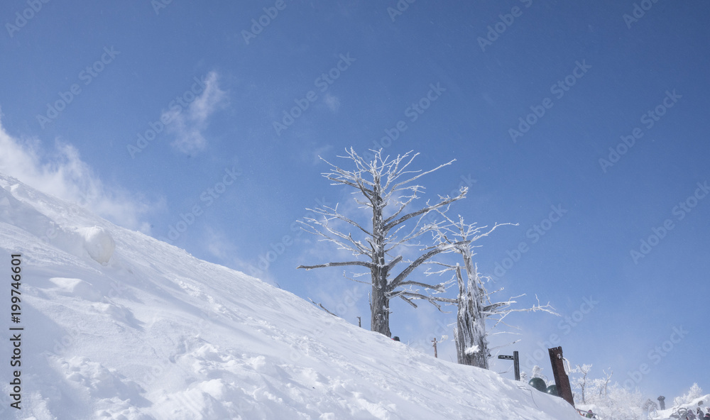 Fototapeta premium 덕유산의 겨울 풍경